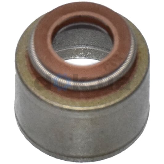 57009900 Ajusa Комплект сальників клапанів