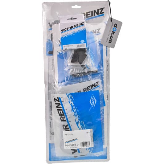 02-53970-01 Reinz Комплект прокладок ГБЦ