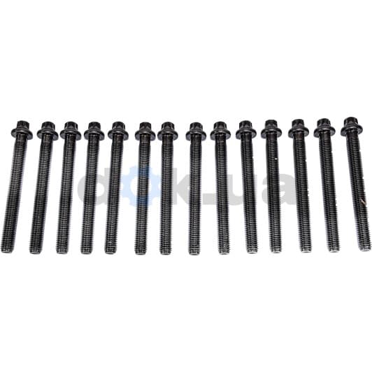 14-32002-02 Reinz Болт ГБЦ