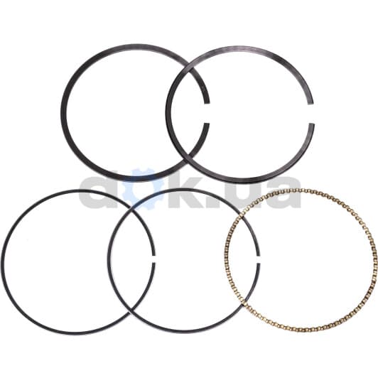 800051910000 Kolbenschmidt Комплект поршневых колец