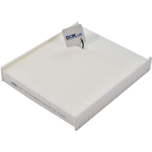 RD61J6WP9165 Rider Фільтр салону