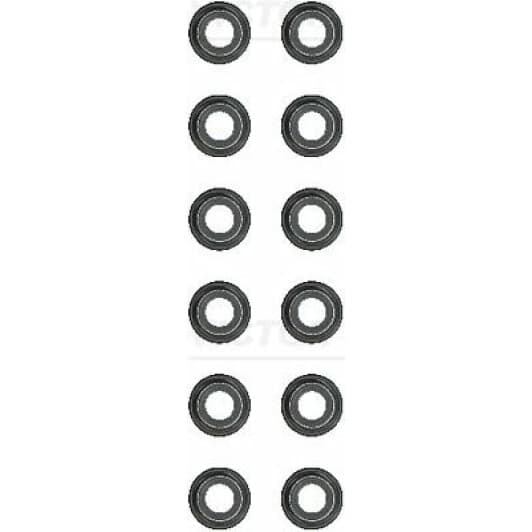 12-52906-02 Reinz Комплект сальников клапанов