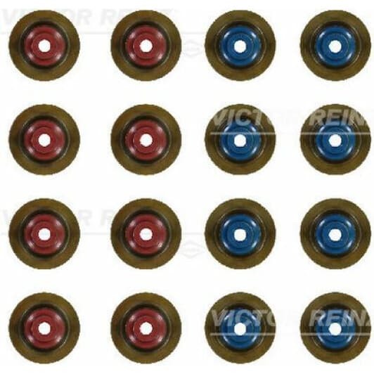 121001201 Reinz Комплект сальников клапанов