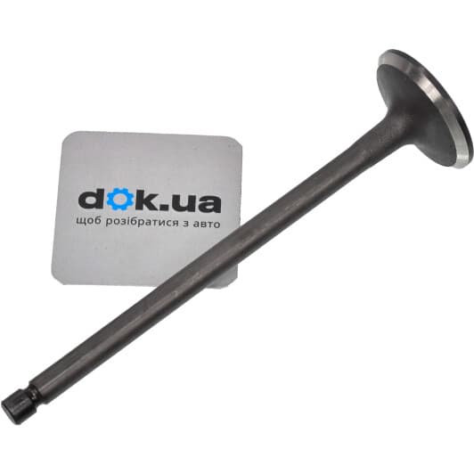 R6171/SNT Freccia Впускний клапан