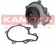 T0068 Kamoka Помпа