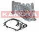T0102 Kamoka Помпа
