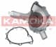 T0187 Kamoka Помпа