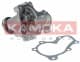 T0208 Kamoka Помпа