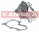 T0208 Kamoka Помпа