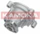 T0272 Kamoka Помпа
