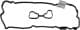 15-53709-01 Reinz Комплект прокладок клапанної кришки