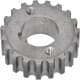 32673 Asam Шестерня колінчастого вала
