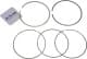 120010007300 NPR Комплект поршневих кілець