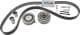 VKMA 01251 SKF Комплект ремня ГРМ
