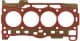 611021700 Reinz Прокладка ГБЦ