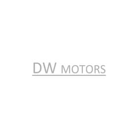 Повітряний фільтр DW Motor 96182220 Повітряний фільтр DW Motor 96182220