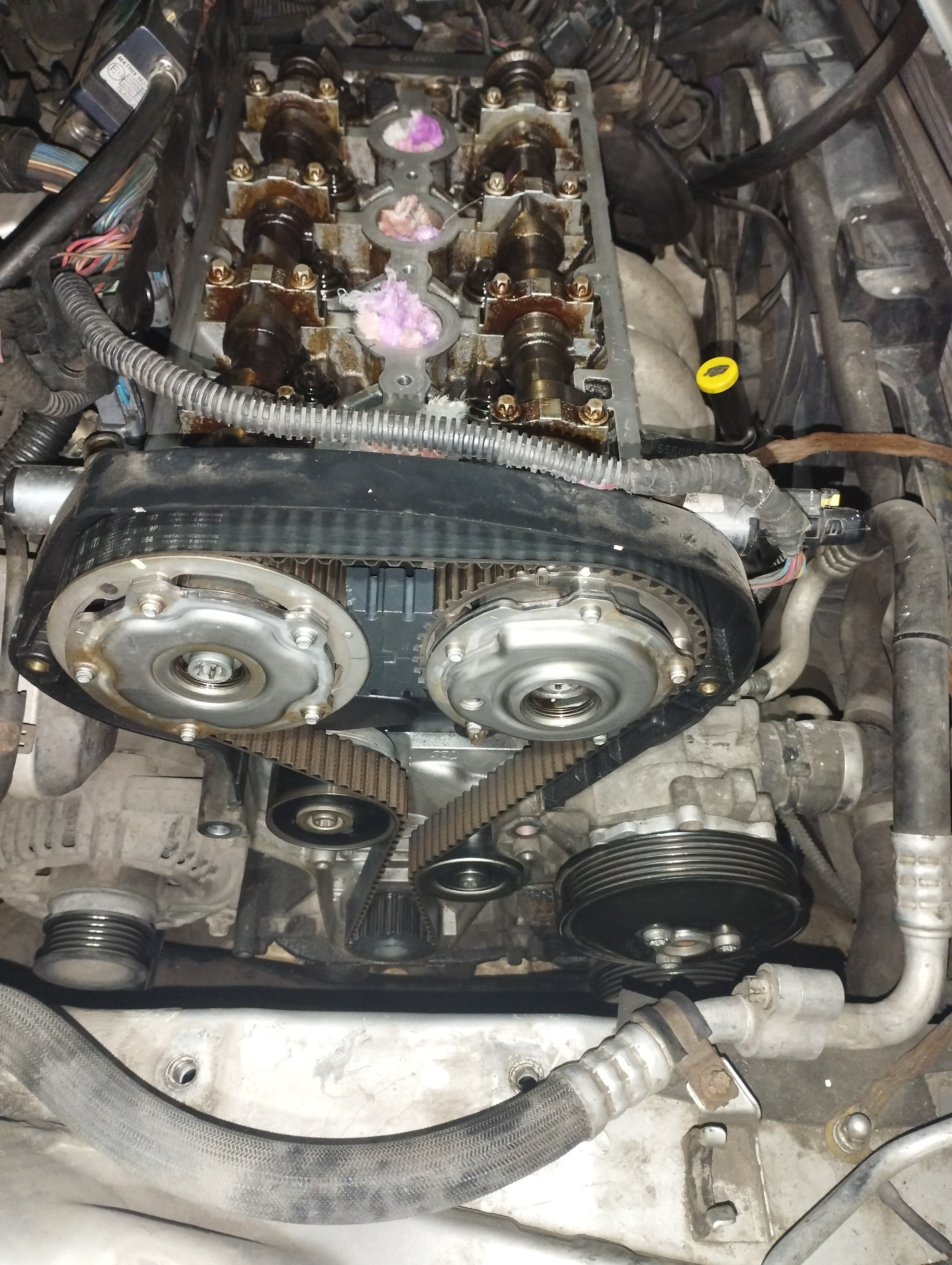 Набір фіксаторів ГРМ для роозподілювання / встановлення фаз Yato YT-06005 7 шт.