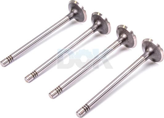 V94117 AE Выпускной клапан