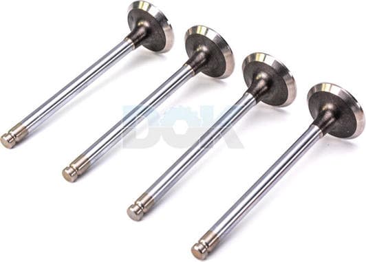 R4637/RCR Freccia Выпускной клапан