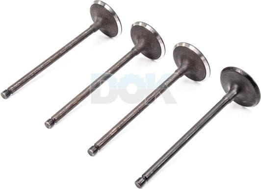 R6603/SNT Freccia Впускной клапан