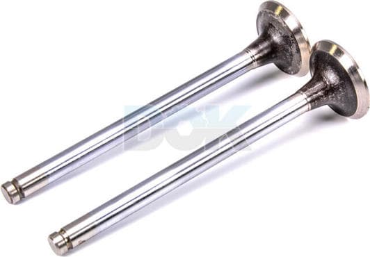 V90231 AE Выпускной клапан