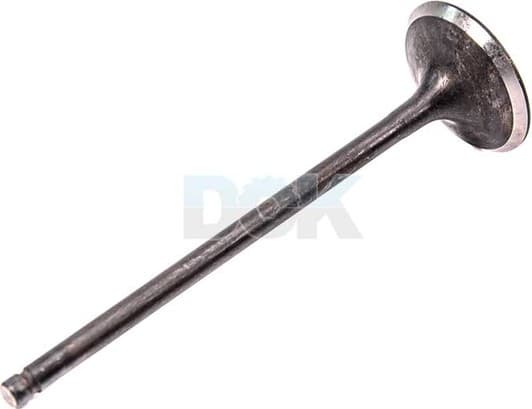 R6403/SNT Freccia Впускной клапан