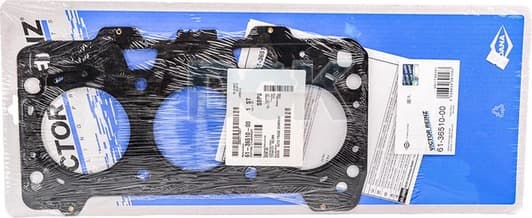 61-36510-00 Reinz Прокладка ГБЦ