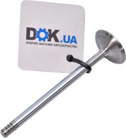 Впускний клапан Впускний клапан