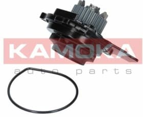 Помпа Помпа