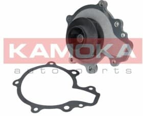 Помпа Помпа