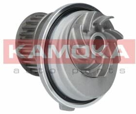 Помпа Помпа