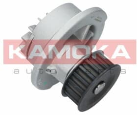 Помпа Помпа