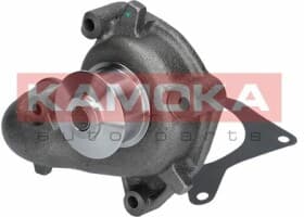 Помпа Помпа