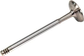 Впускной клапан Впускной клапан