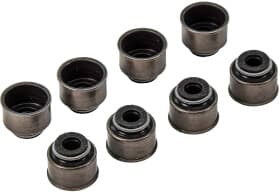 Комплект сальників клапанів Комплект сальників клапанів