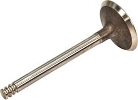 Впускной клапан Впускной клапан