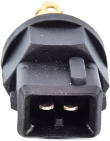 Датчик температуры впускаемого воздуха Датчик температуры впускаемого воздуха