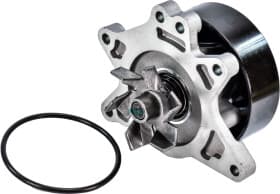 Помпа Помпа