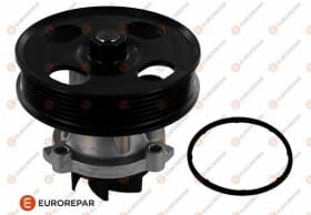 Помпа Помпа