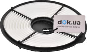 Воздушный фильтр Воздушный фильтр