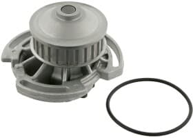 Помпа Помпа