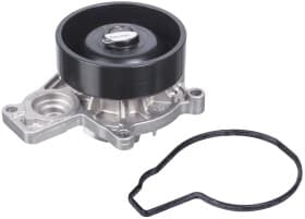 Помпа Помпа