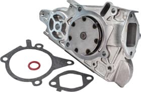 Помпа Помпа