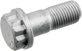 Болт корпуса скоби гальма Болт корпуса скоби гальма