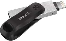 Флешка SanDisk iXpand Go 256 ГБ Флешка SanDisk iXpand Go 256 ГБ