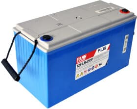 Акумулятор для ДБЖ Fiamm FLB 12FLB450P 817181 120 Аг 12 В Акумулятор для ДБЖ Fiamm FLB 12FLB450P 817181 120 Аг 12 В