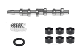 Комплект распредвала Borsehung b18665 Комплект распредвала Borsehung b18665
