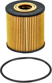 Оливний фільтр