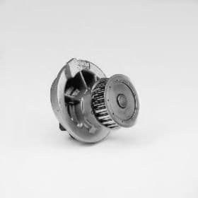 Помпа Помпа