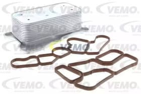 Оливний радіатор двигуна Оливний радіатор двигуна